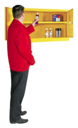 Wall Mounted Hazardous Substance Safety Cabinet - Small 